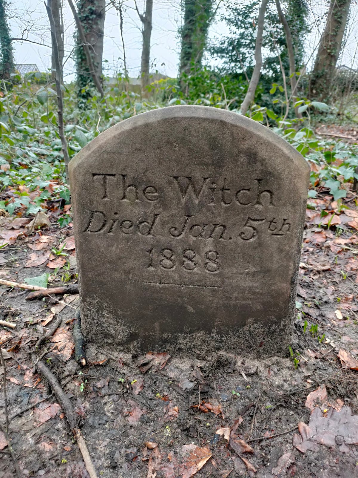 Witch Wood - Image 1