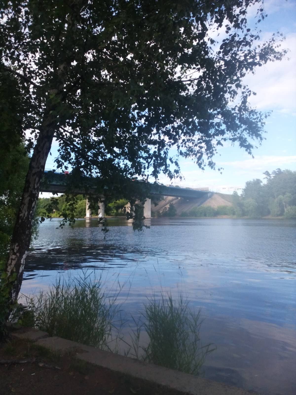 Vertical photo