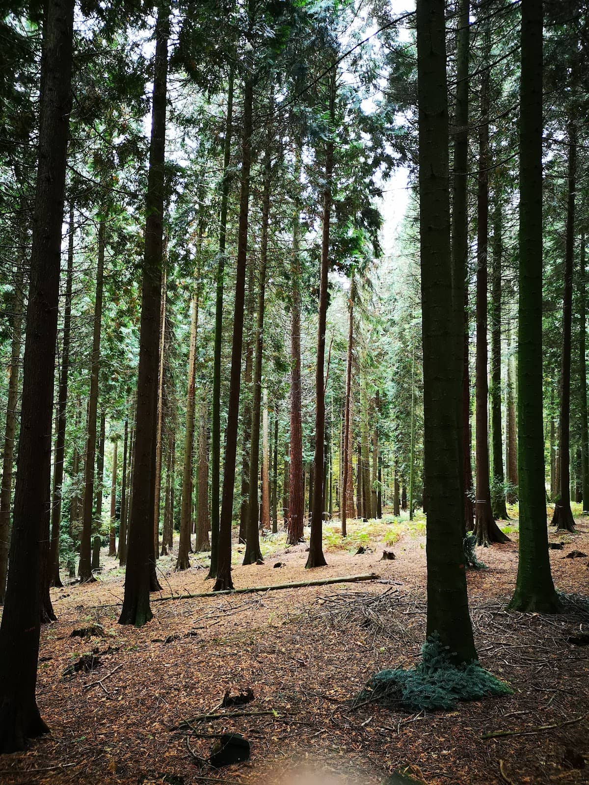 Extensive Hiking Trails