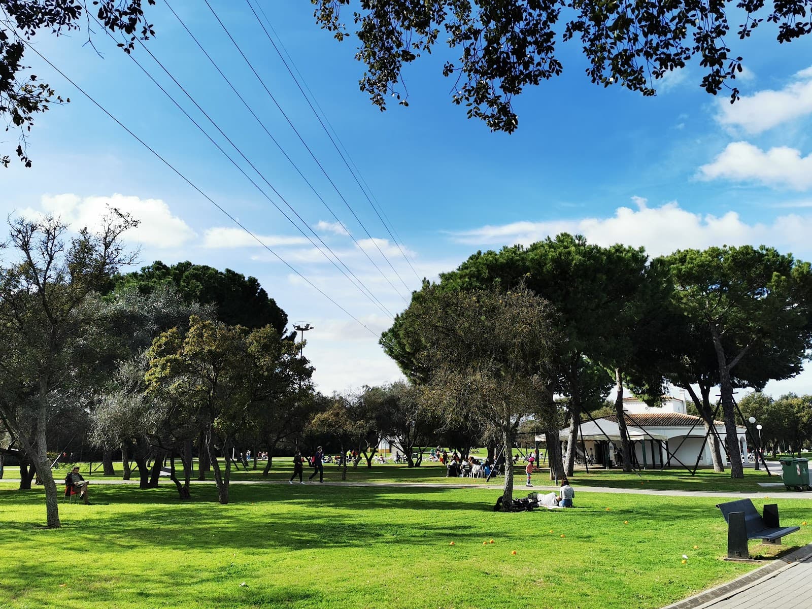 Alamillo Park - Image 1