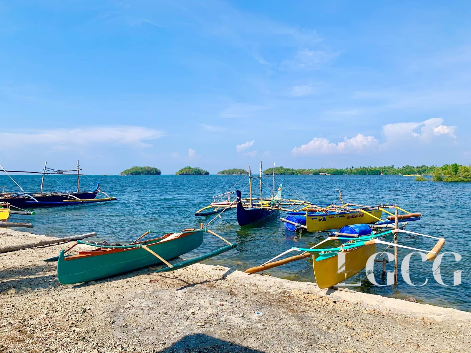 Local Seafood Delights