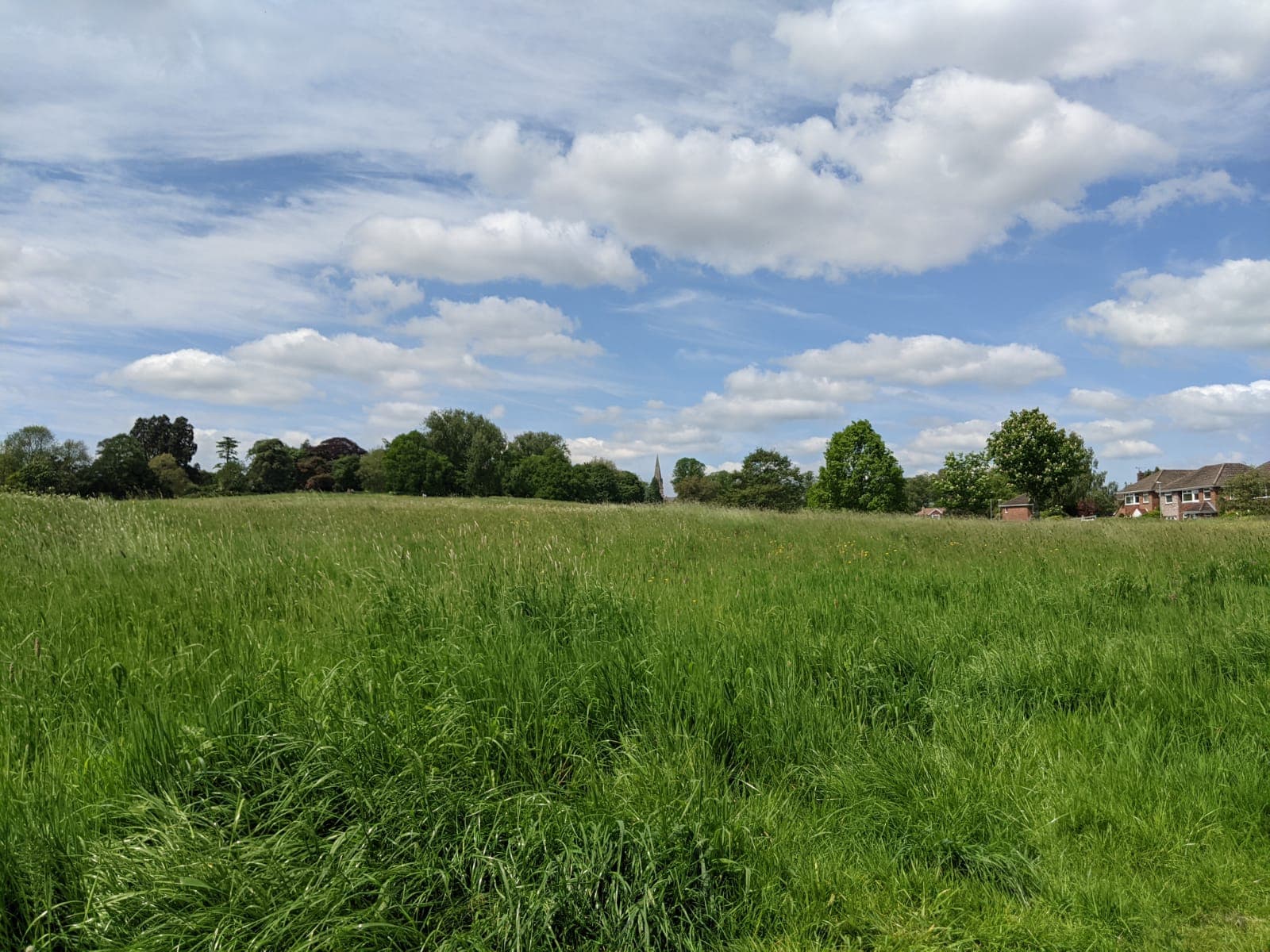 The Lawn Old Town - Image 1