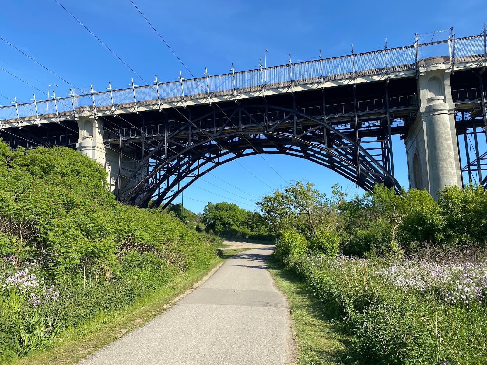 Don Valley Ravines - Image 1