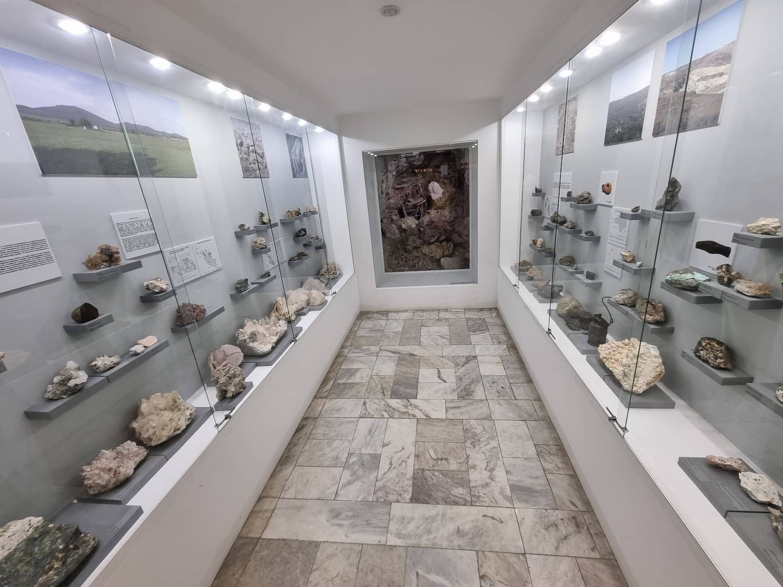 Bulgarian Fossil Specimens