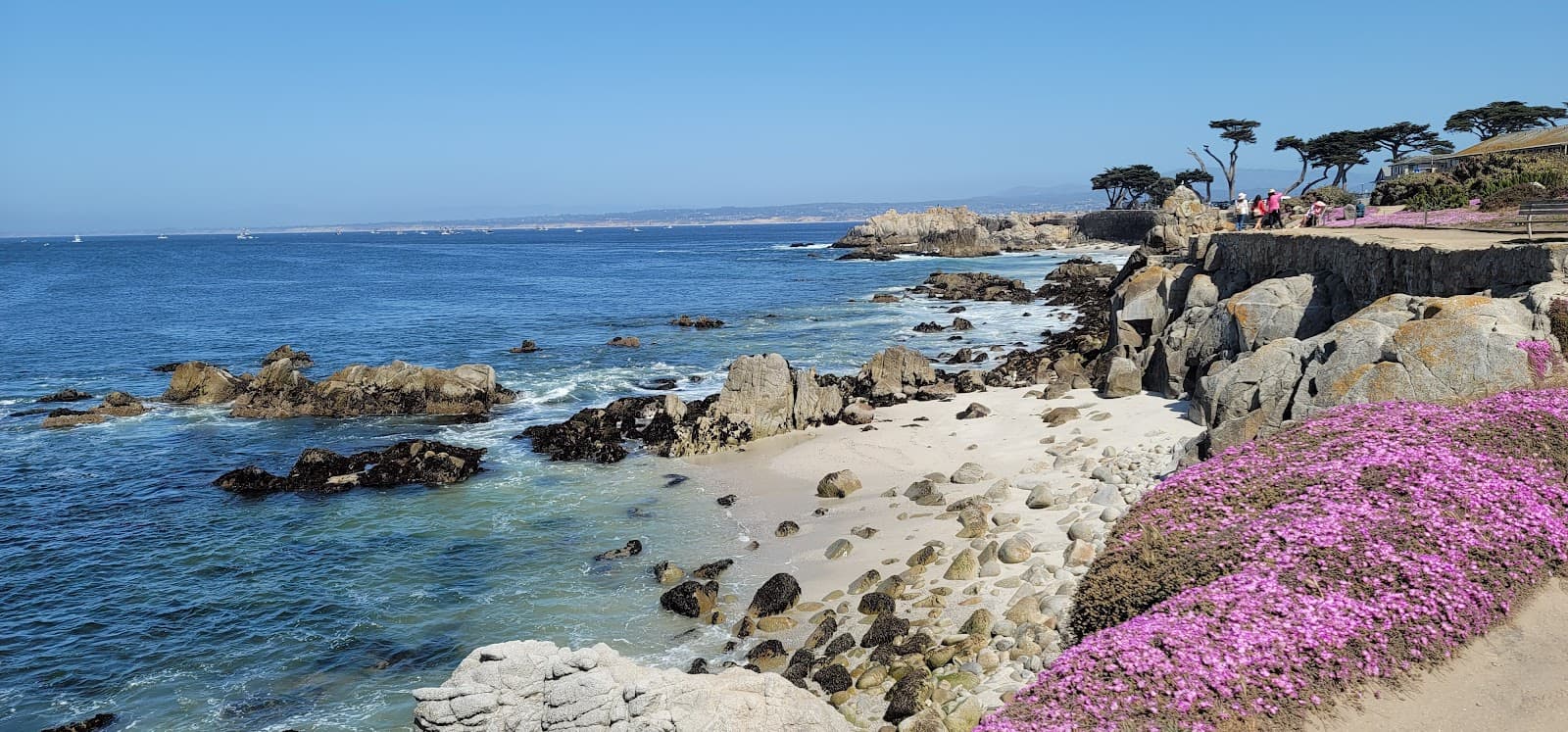 Pacific Grove - Image 1
