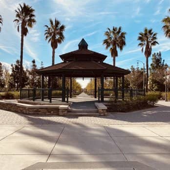 Sports Fields Galore