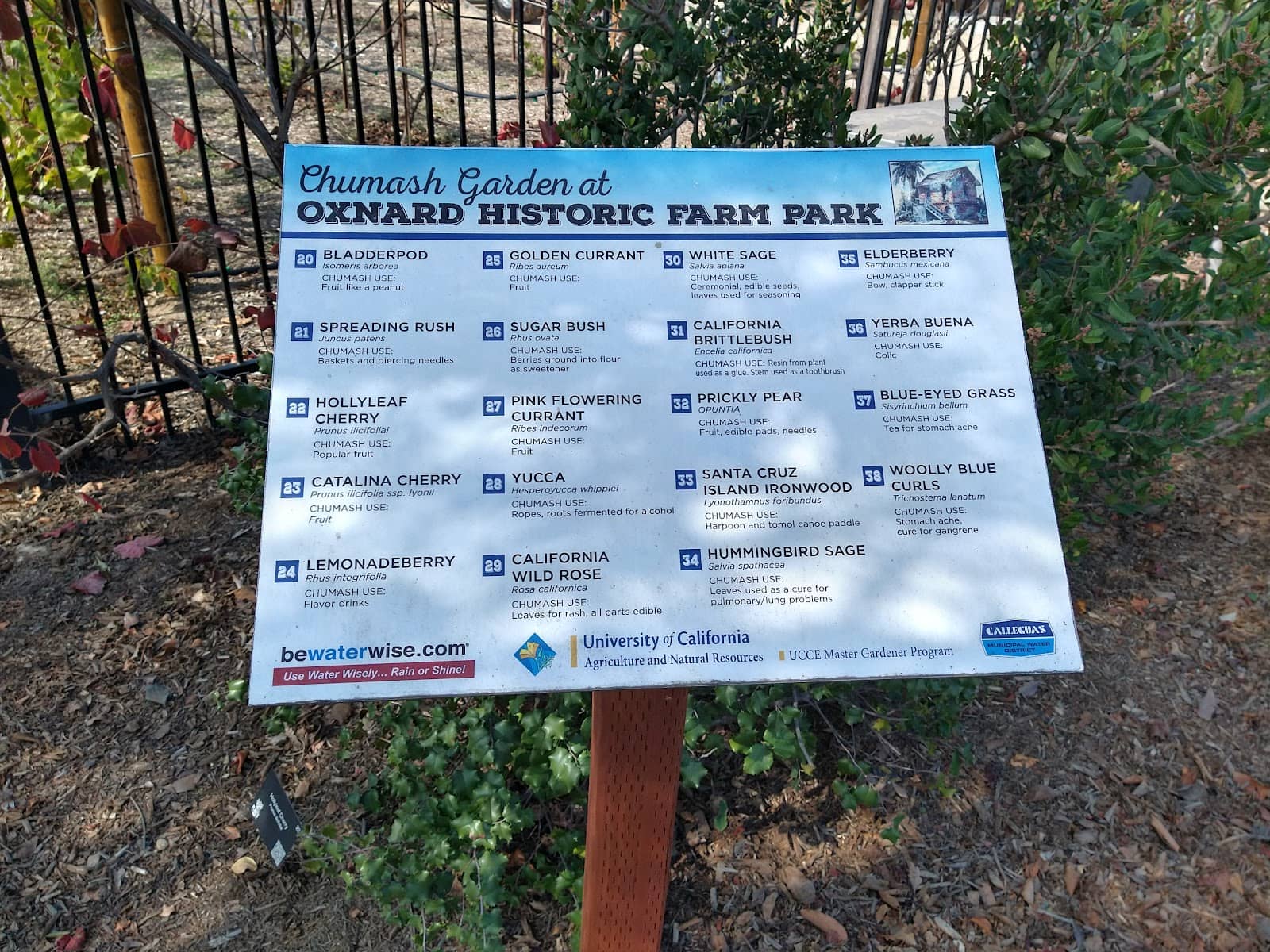 Vintage Farming Equipment