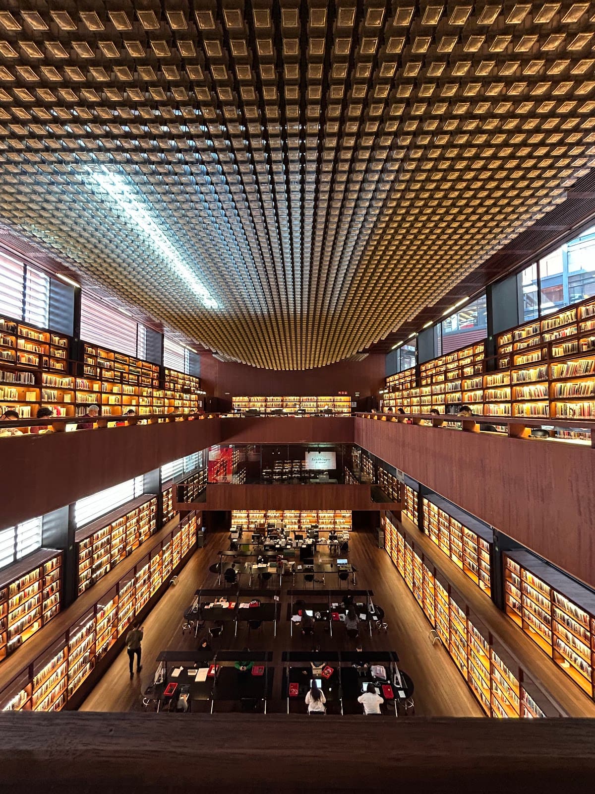 Biblioteca de Arte del Museo Reina Sofía - Image 1