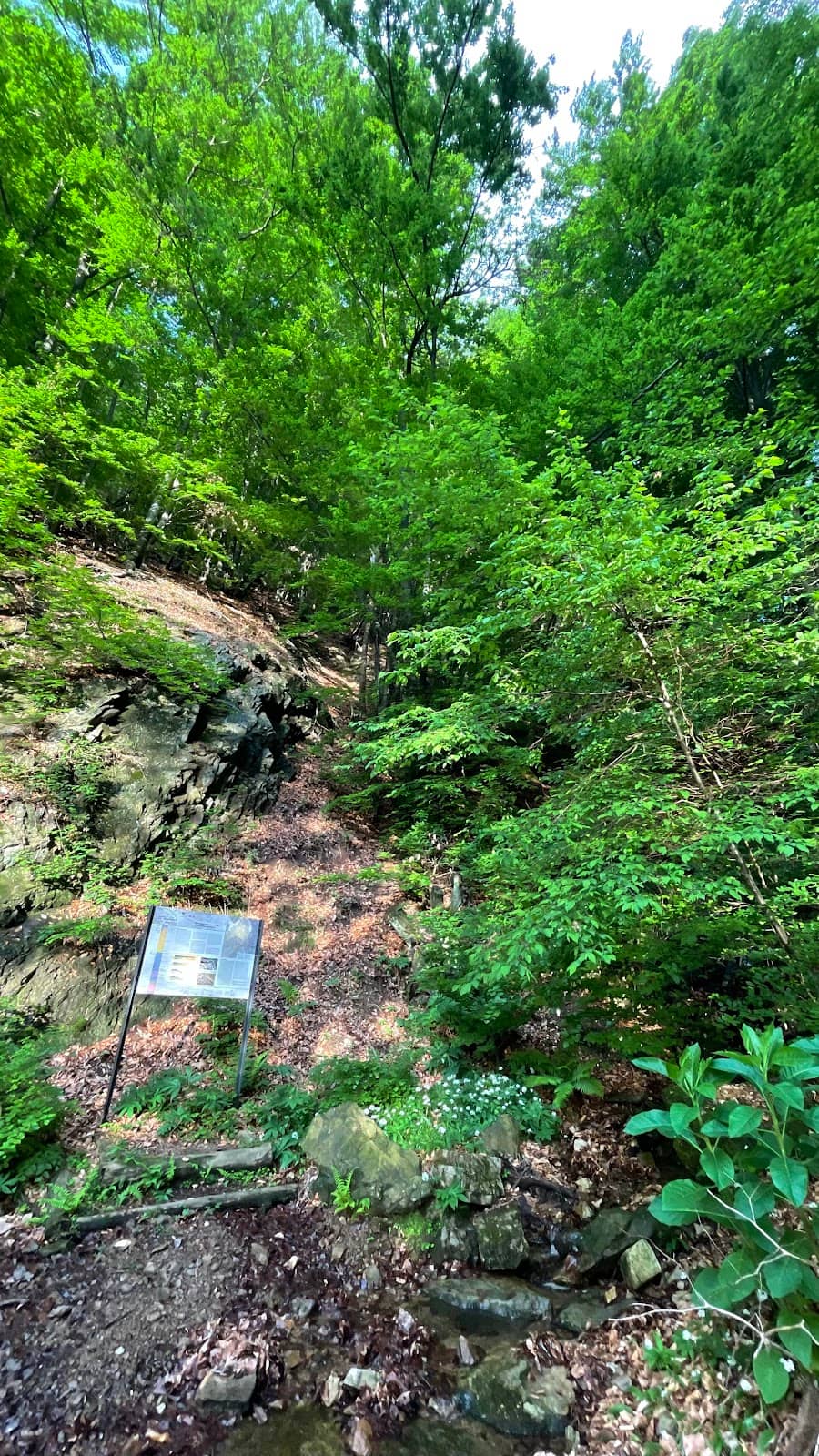 Vertical photo