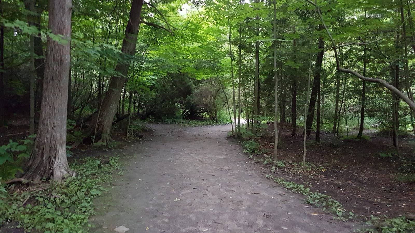 Wooded Hiking Trails