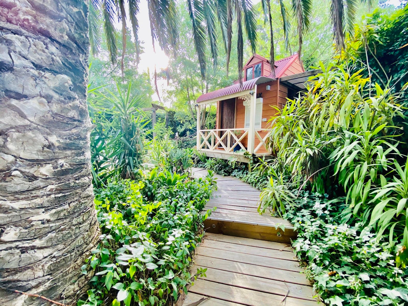 Murray Street Tanunda - Image 1