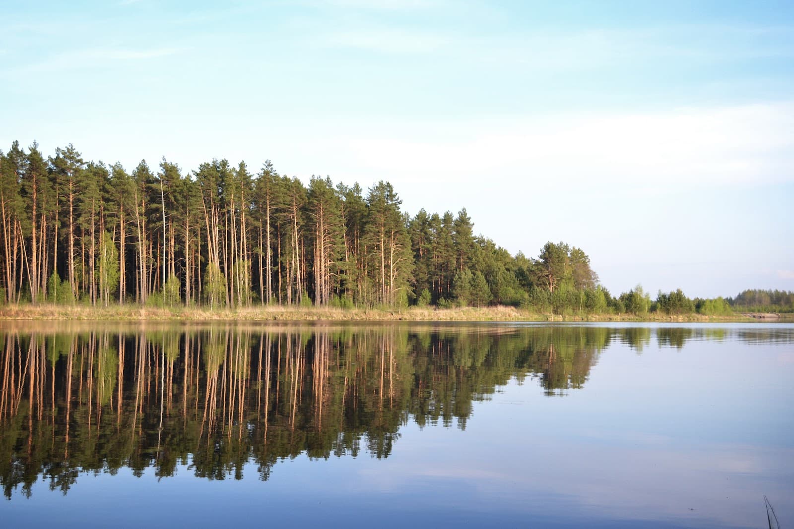 Orlovskoye Polesye National Park - Image 1