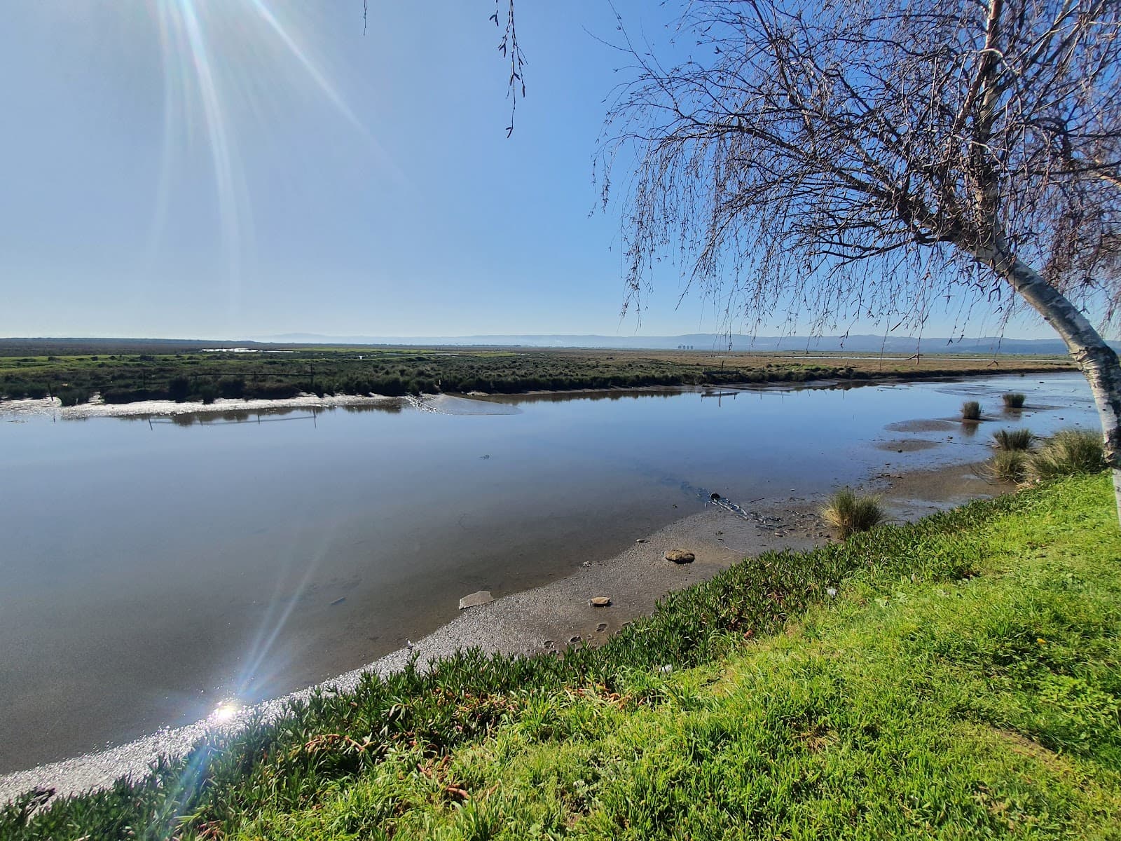 Humedal Rocuant-Andalién - Image 1