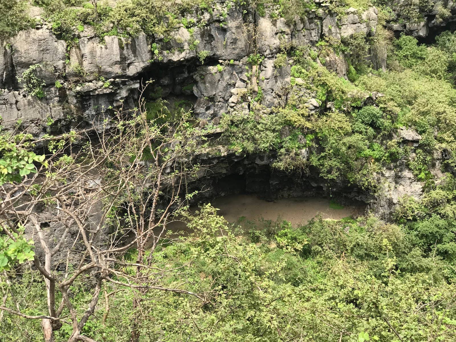 Vertical photo