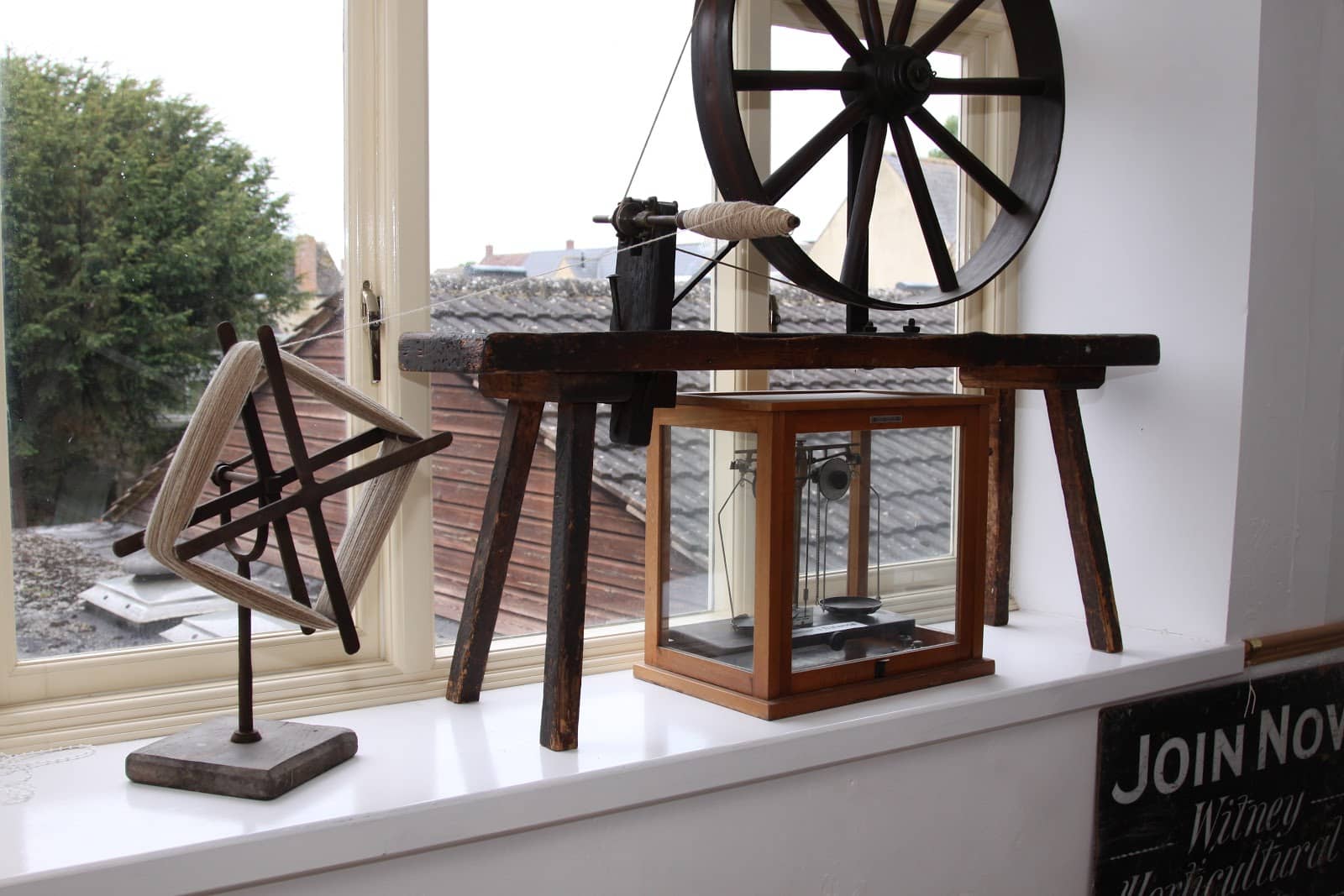 Friendly Volunteer Insights