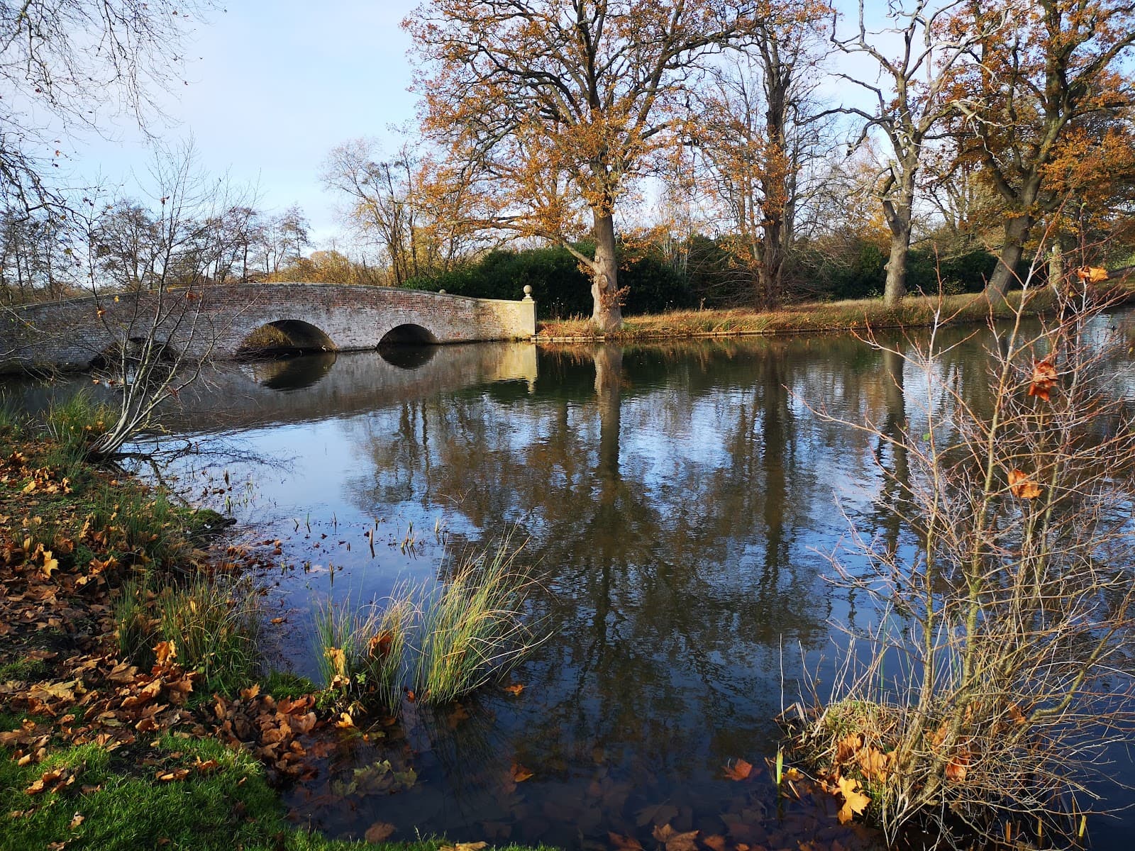 Tundry Pond - Image 1