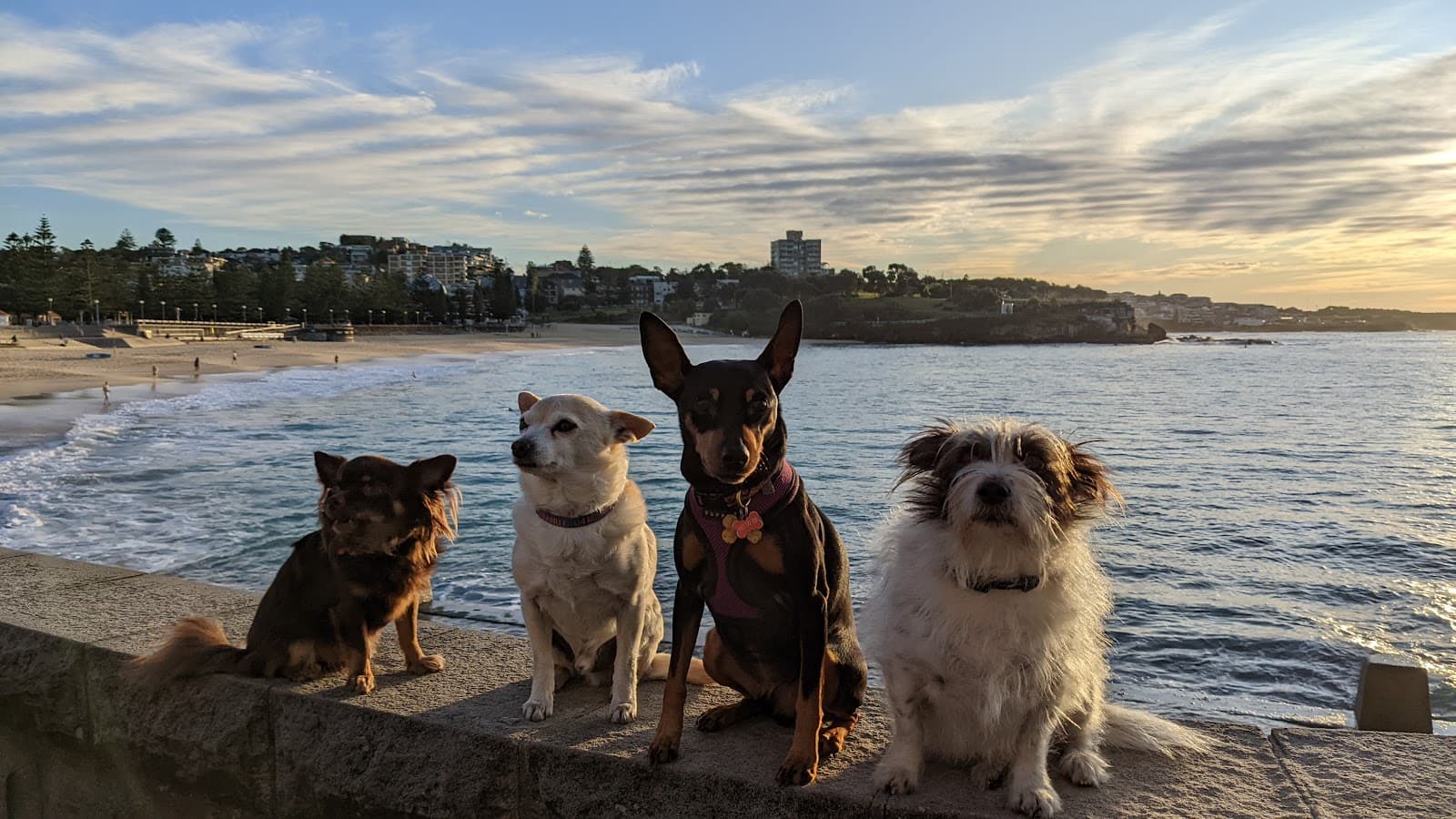 Coogee Beach - Image 1