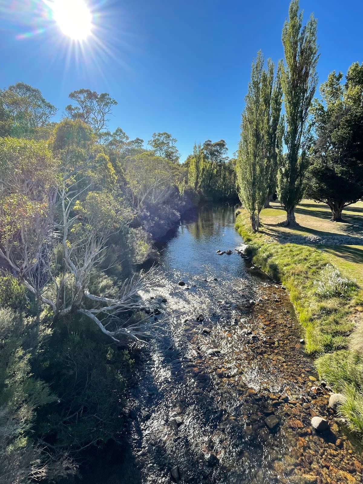 Gaden Trout Hatchery - Image 1