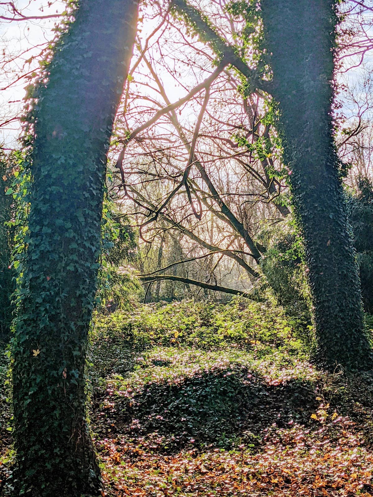 Vertical photo