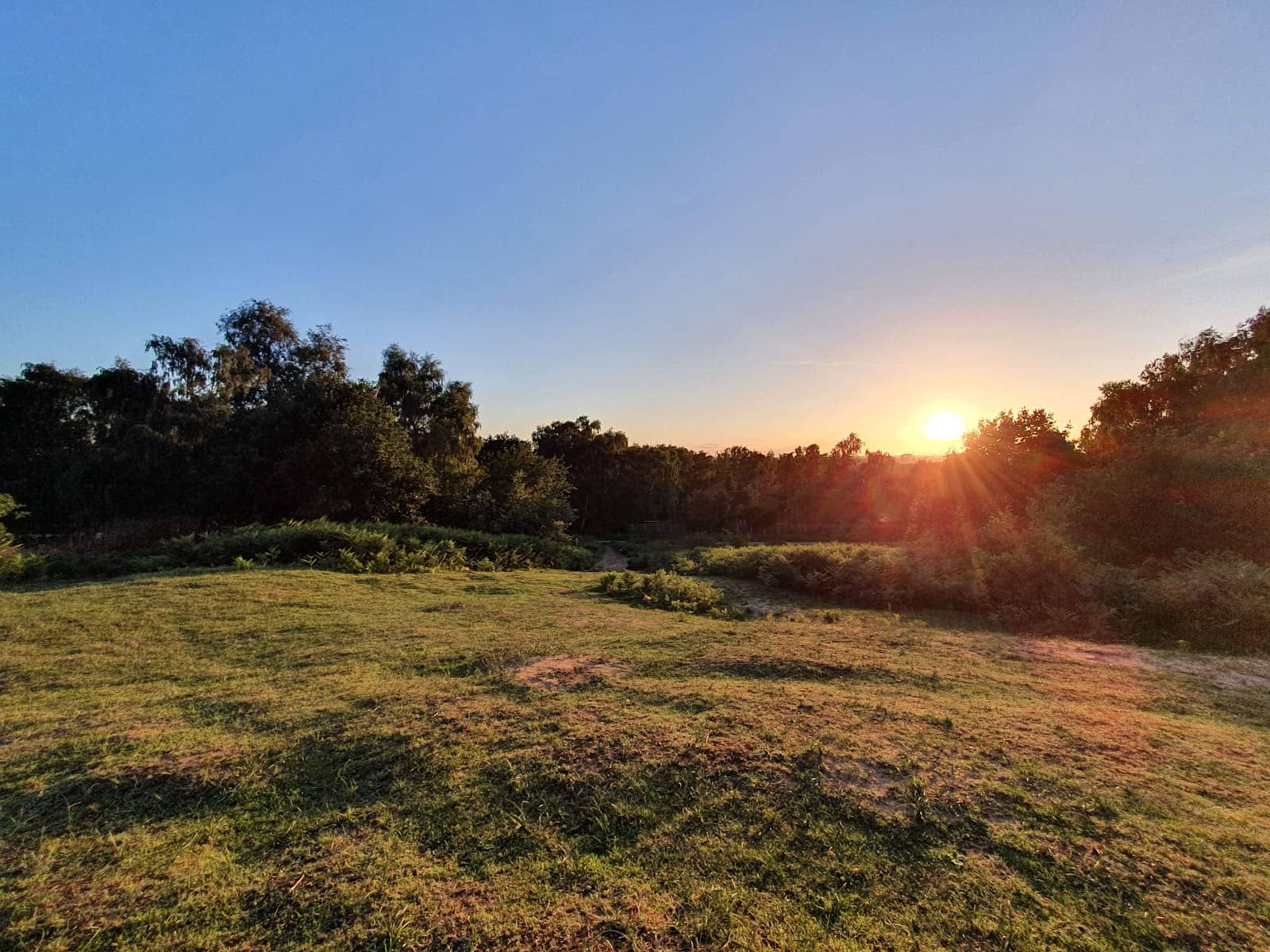 Forest Paths and Old Remains