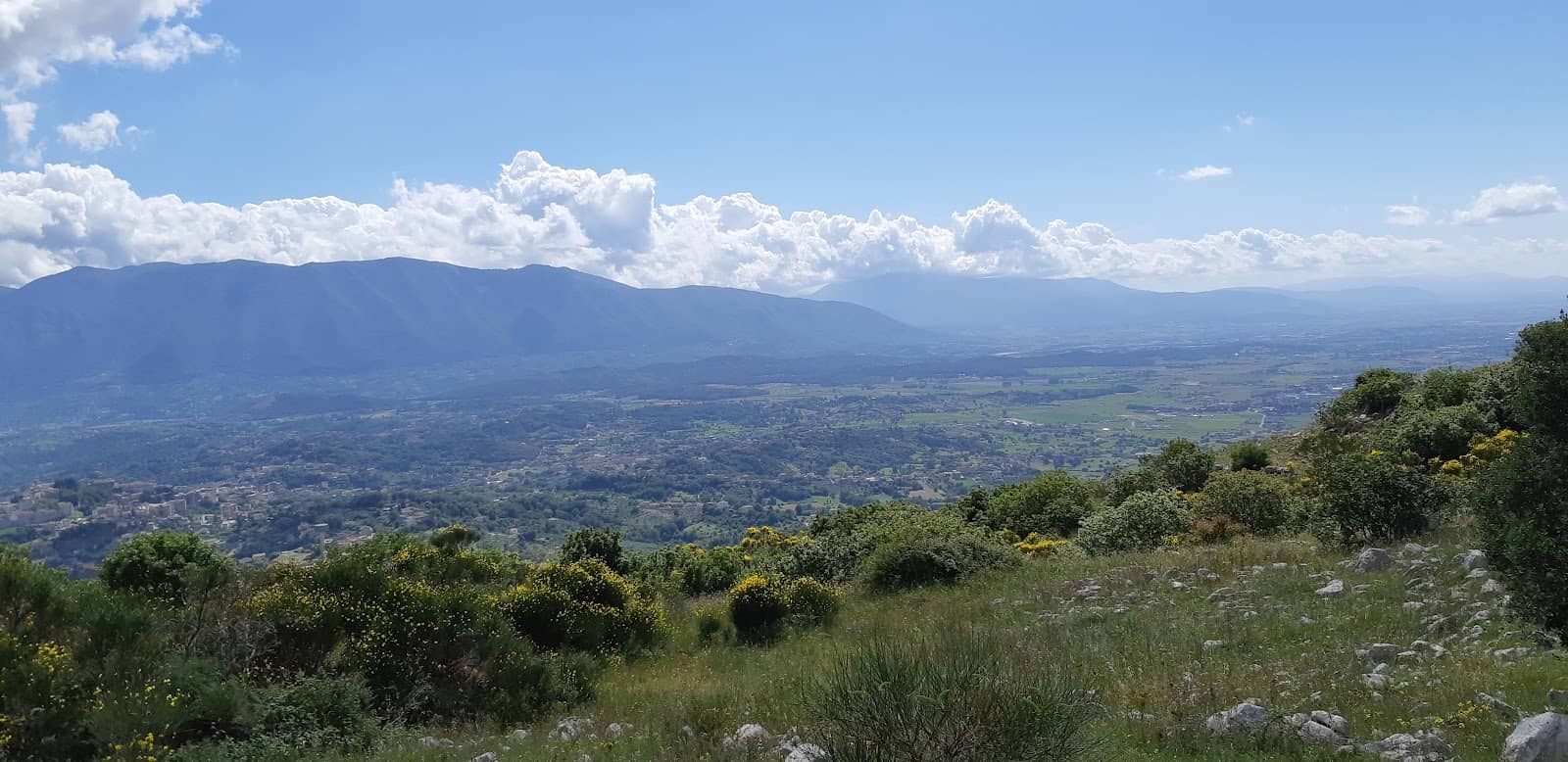 Local Flora and Fauna