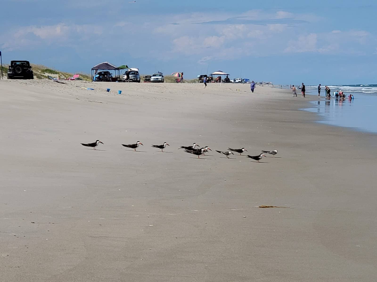 Kayaking and Paddling