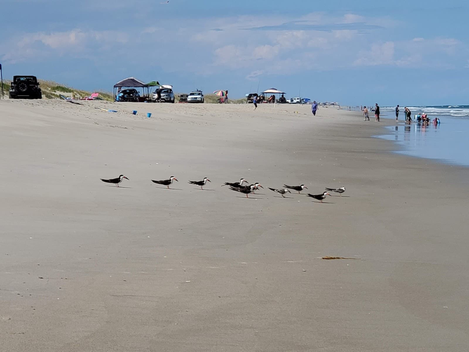 Zeke's Island Reserve - Image 1