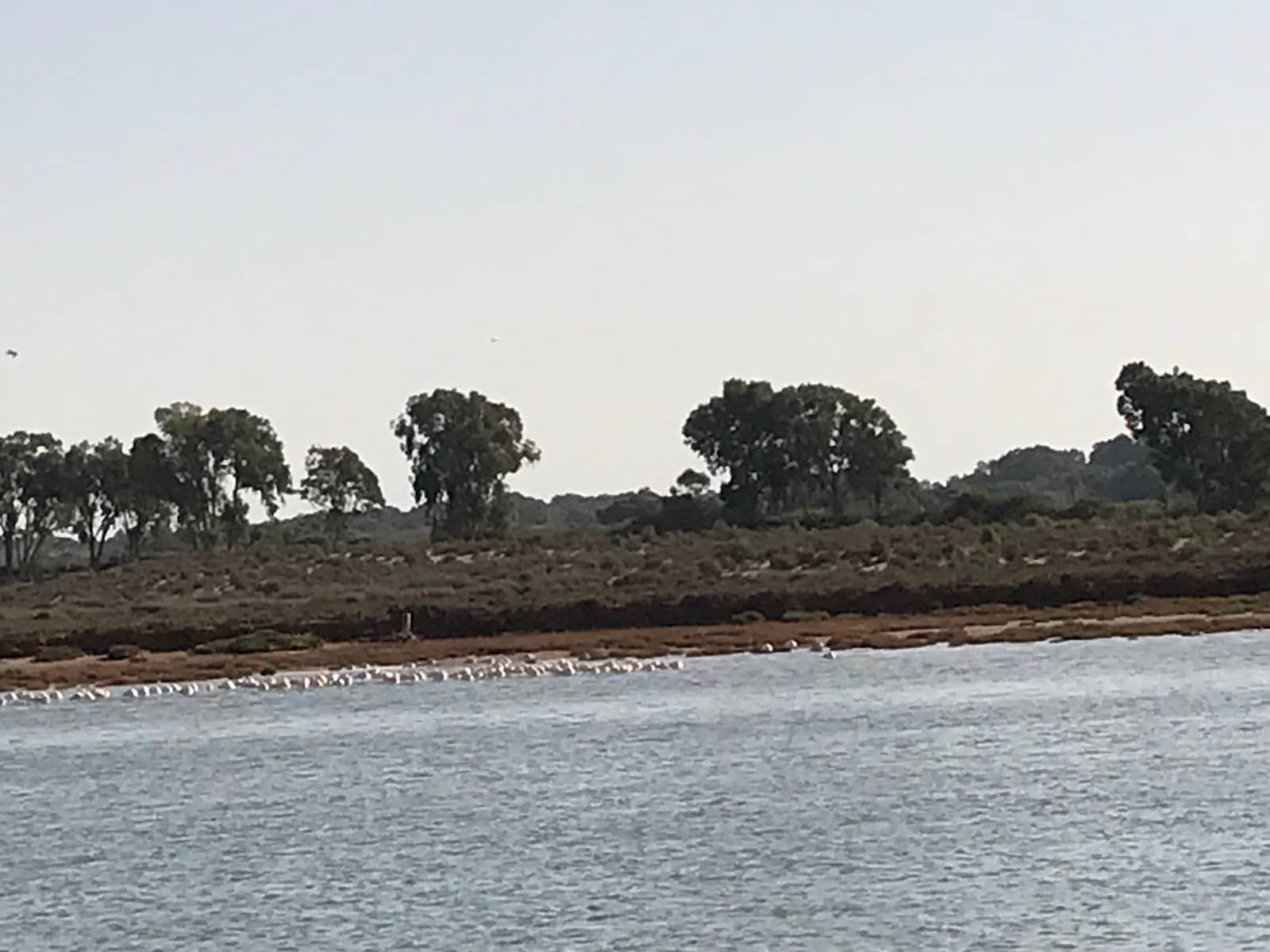 Estuary Meets the Sea