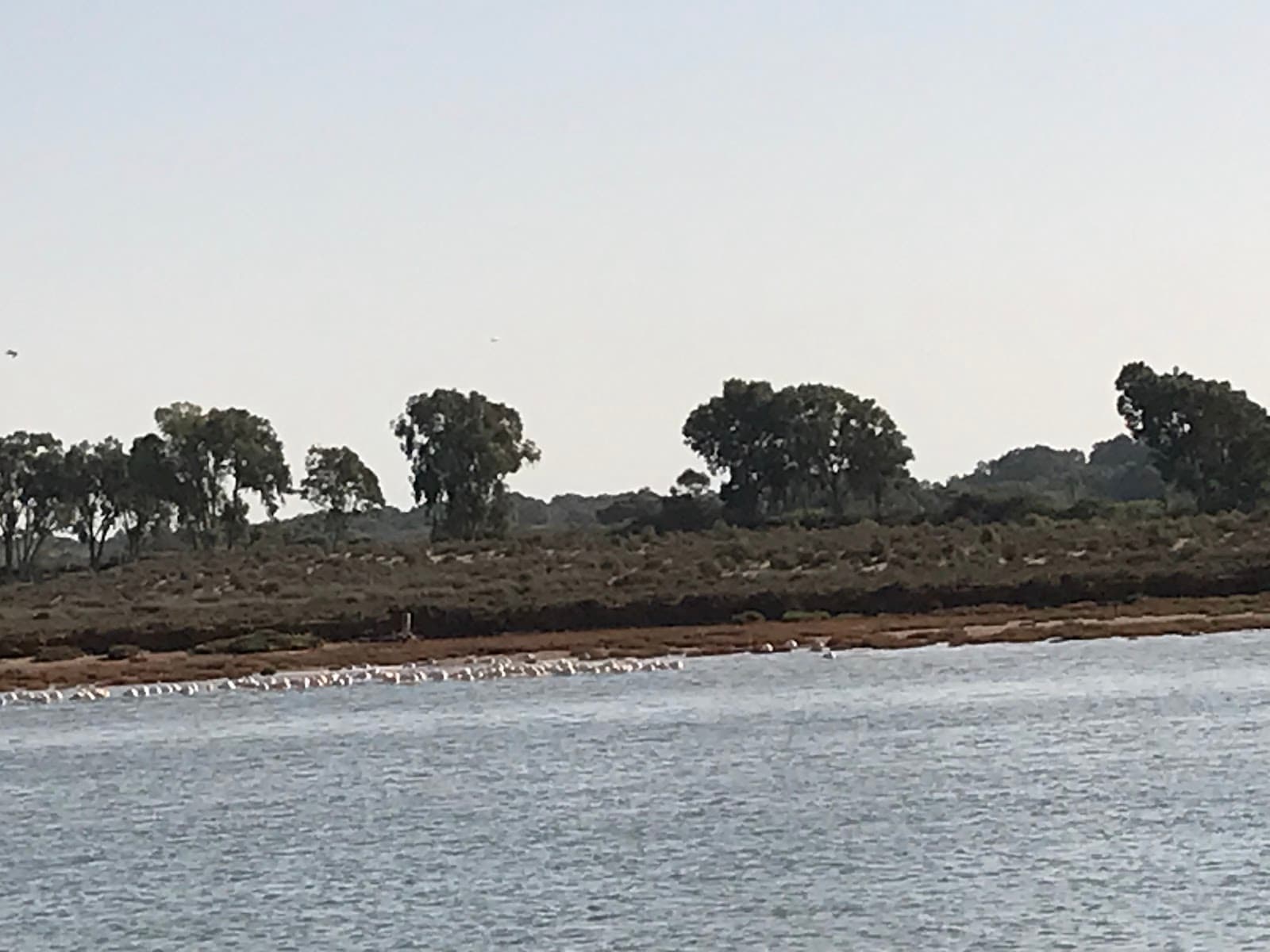 Oued Souss Estuary - Image 1
