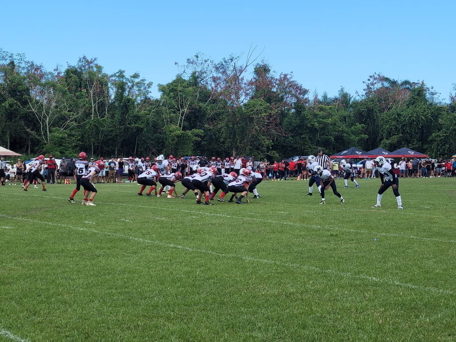 Potential for Revitalization