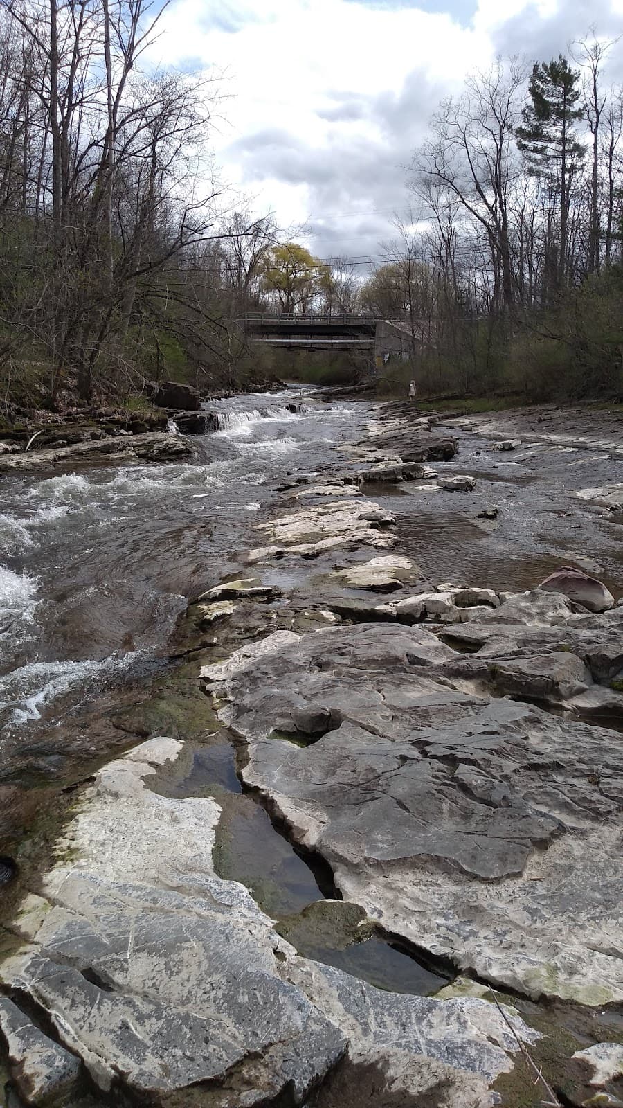 LaPlatte River Falls - Image 1