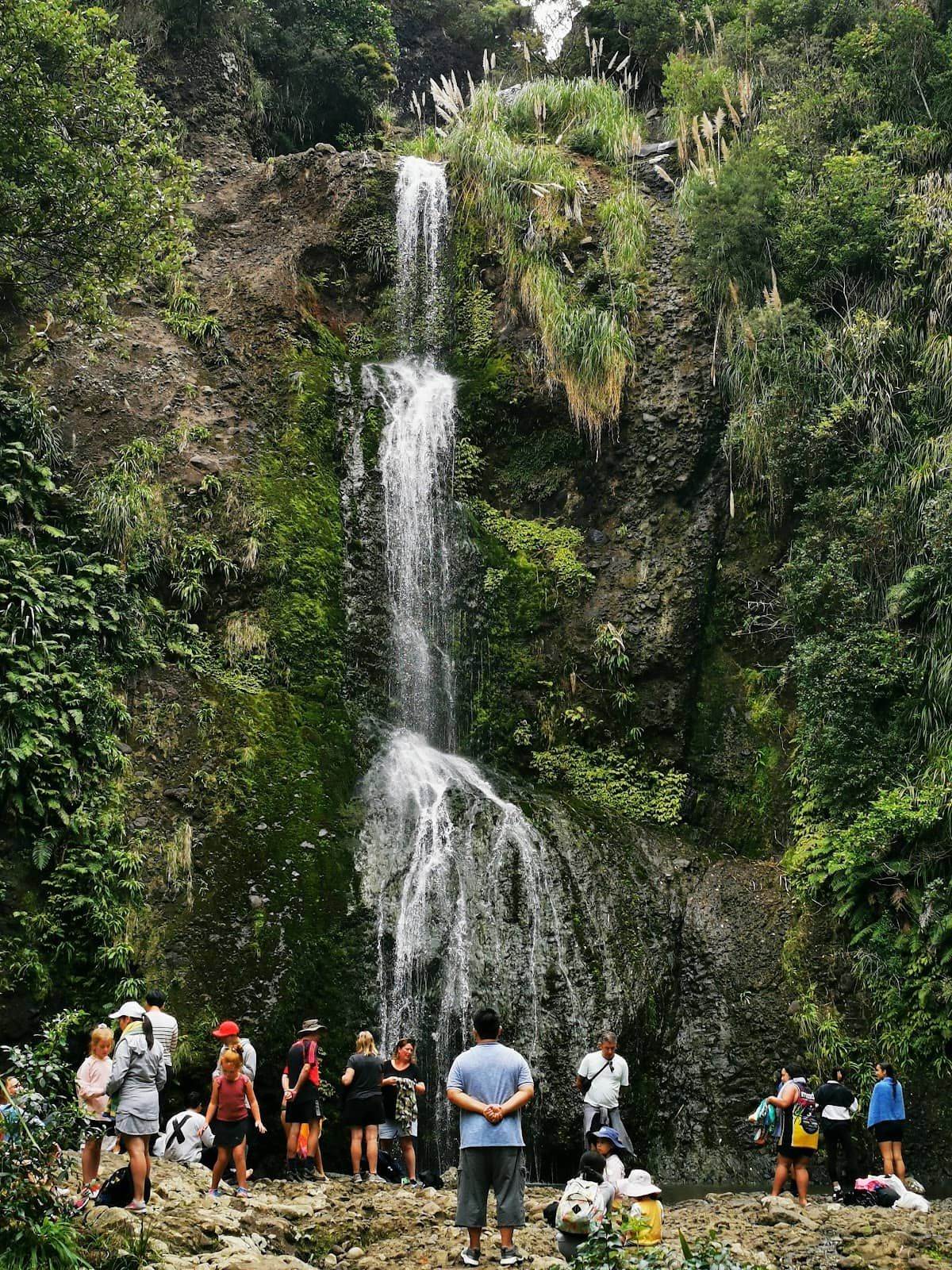 Vertical photo
