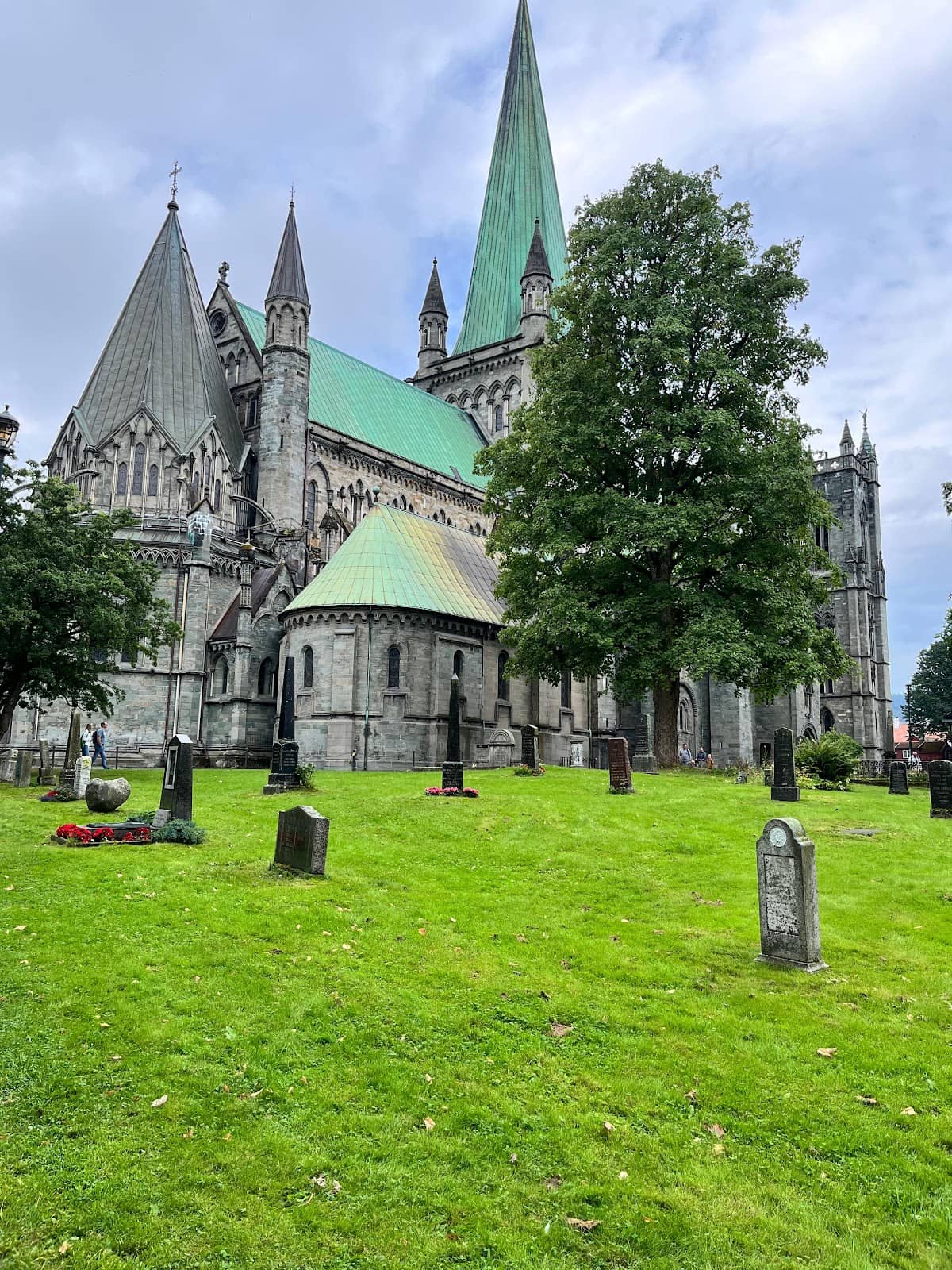 Tranquil Park Setting