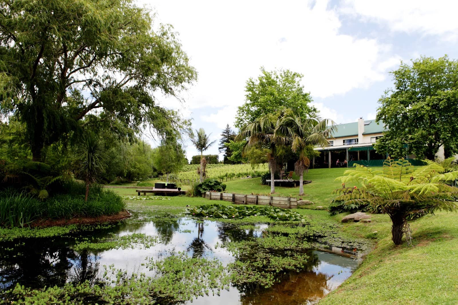 Exceptional Food & Wine Pairings