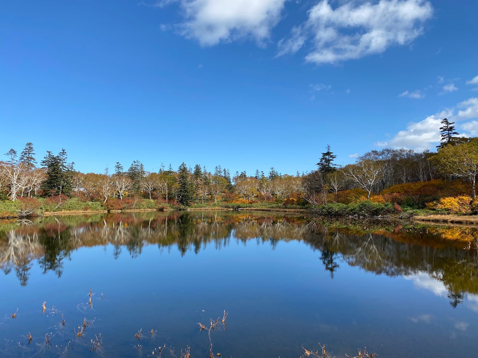 Shinsen-numa Marsh - Image 1