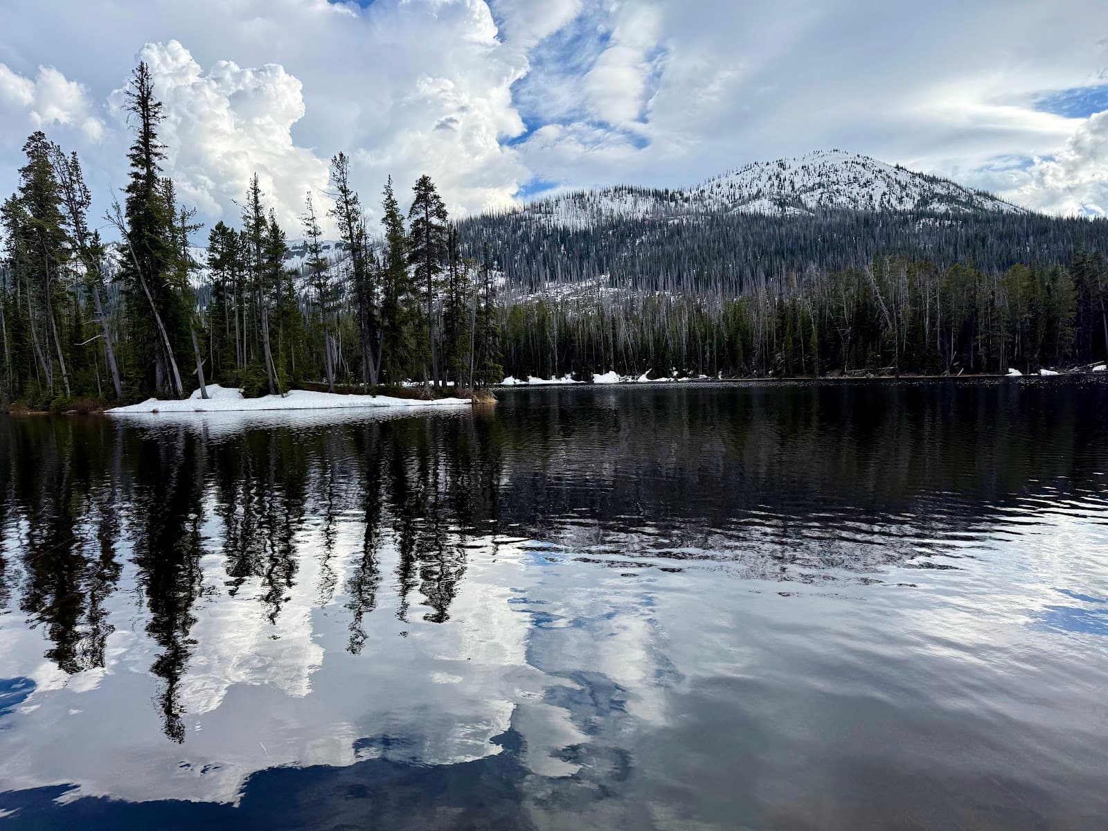Sylvan Lake Yellowstone East Entrance - Image 1