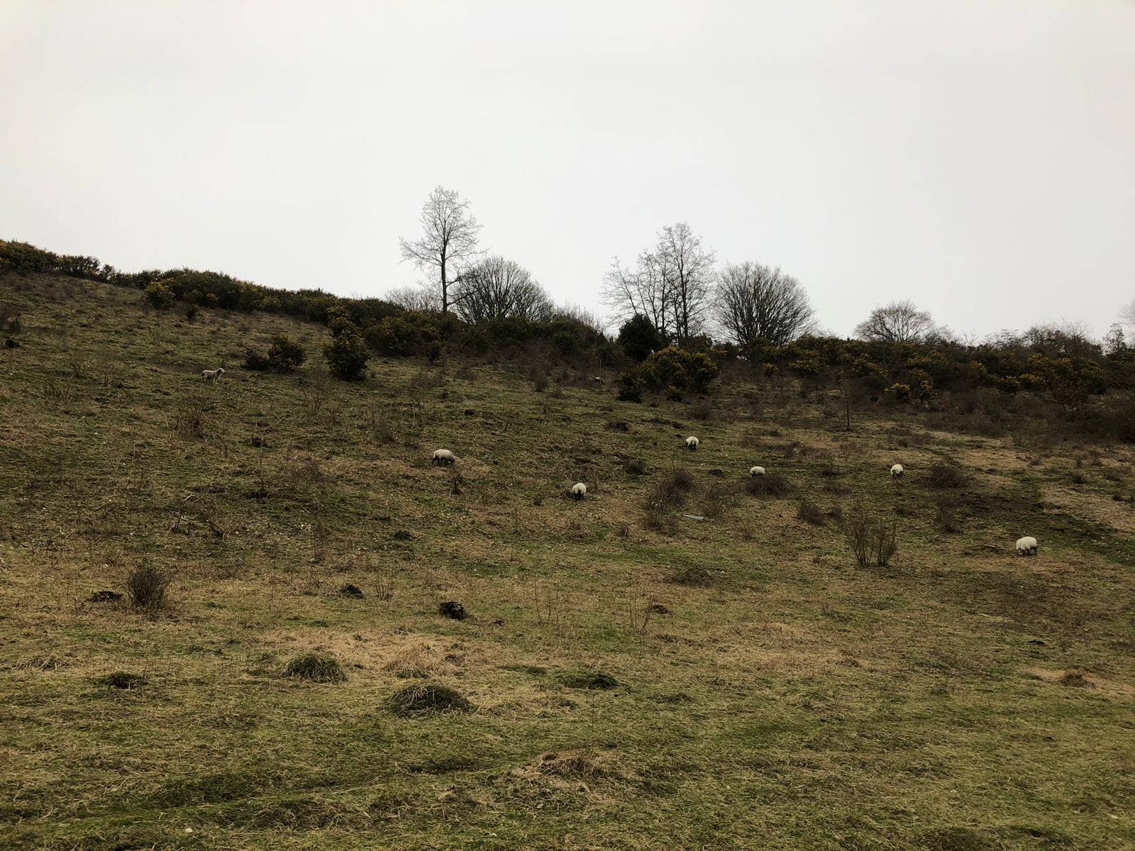 Ancient Fort Remnants