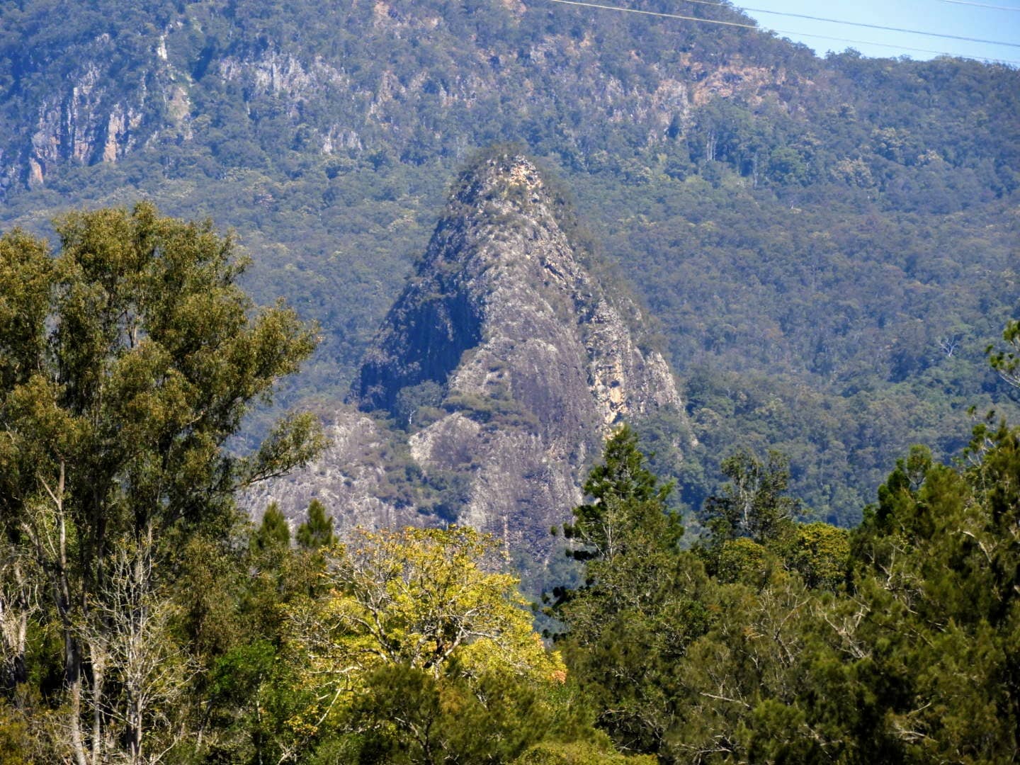 Vertical photo