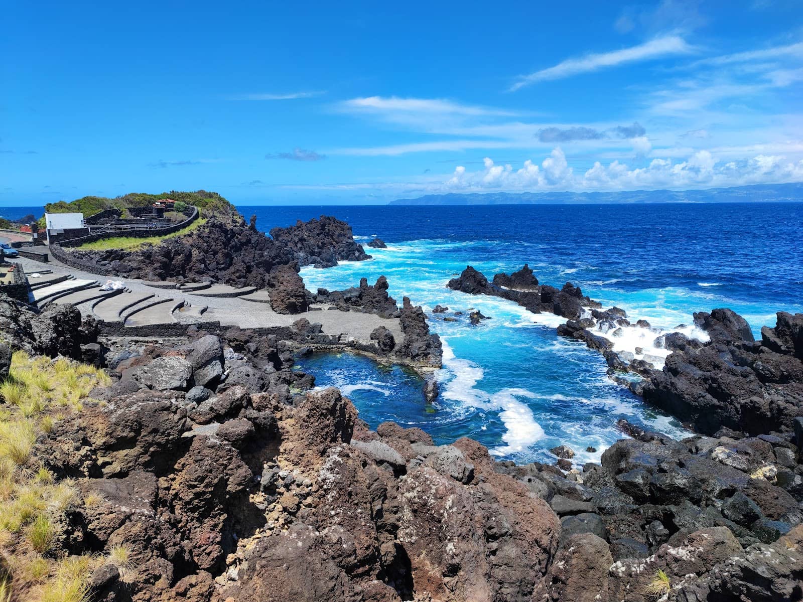 Abundant Marine Life