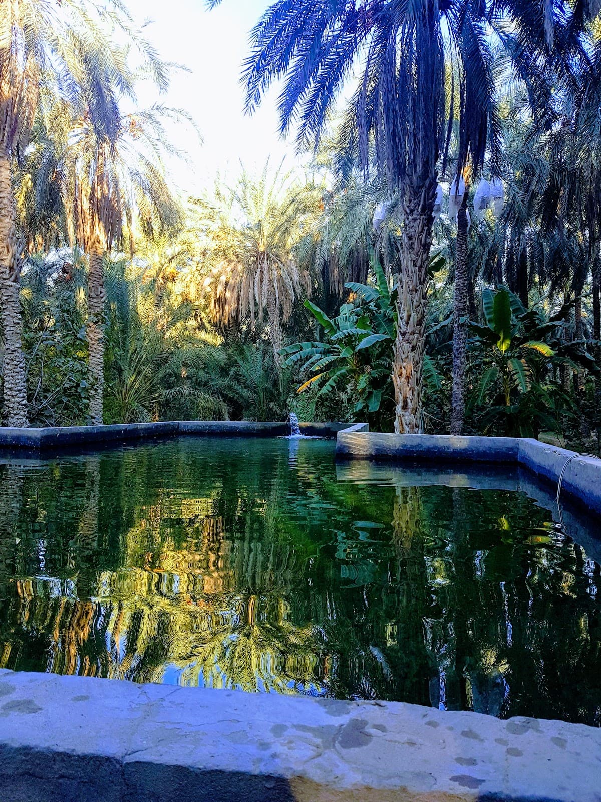 Degache Oasis - Image 1