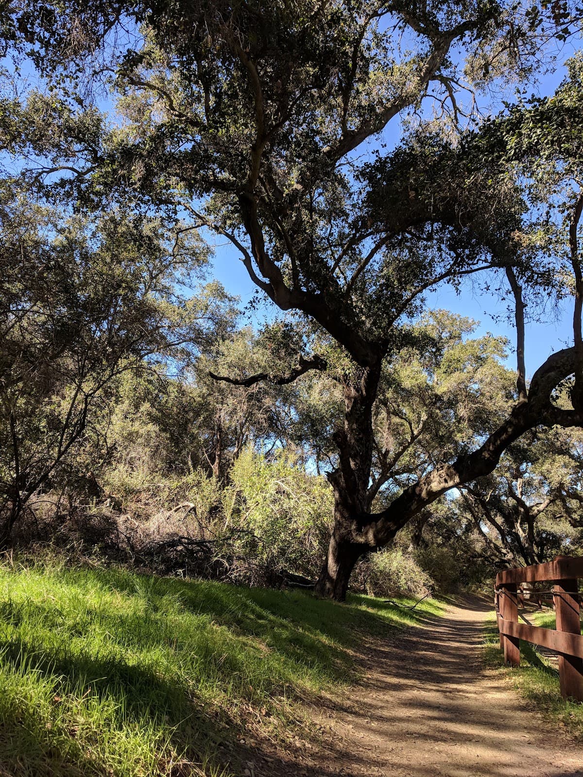 Los Robles Trail & Open Space - Image 1