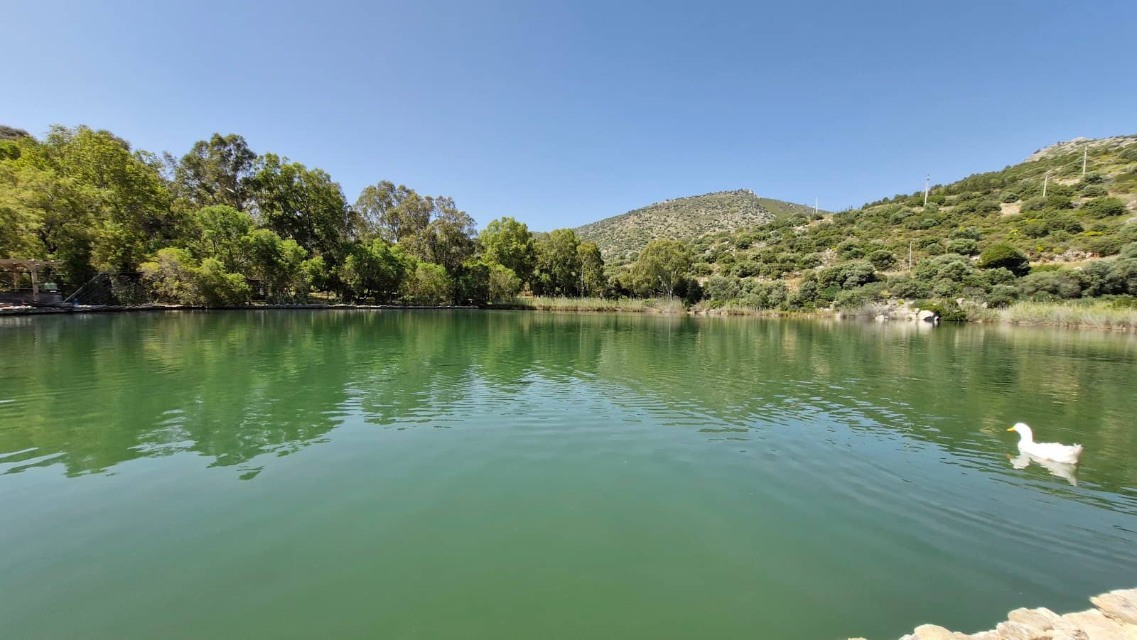 Shaded Lakeside Park