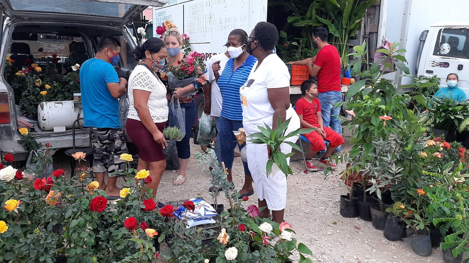 Michael Finnegan Market - Image 1