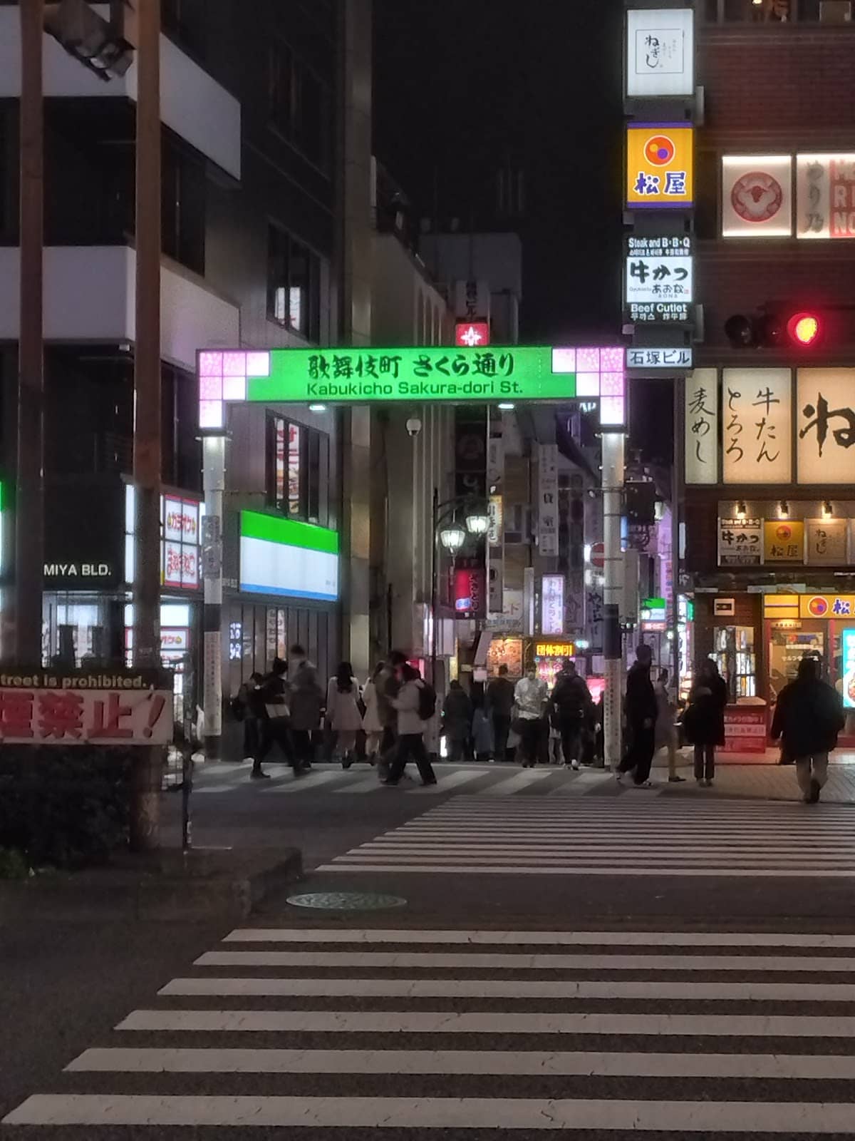 Kabukicho's Neon Streets