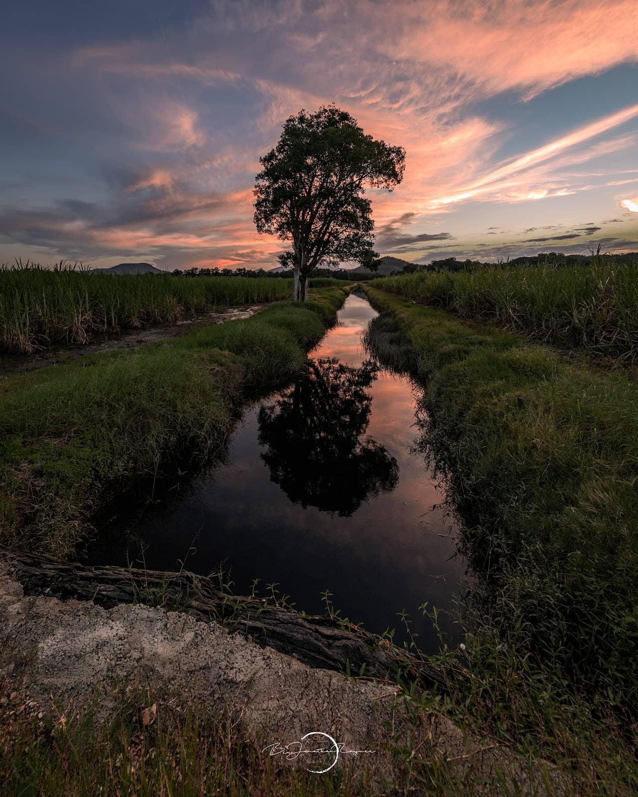 Vertical photo