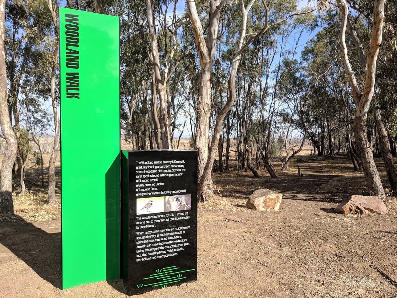 Causeway Wetlands Walk - Image 1