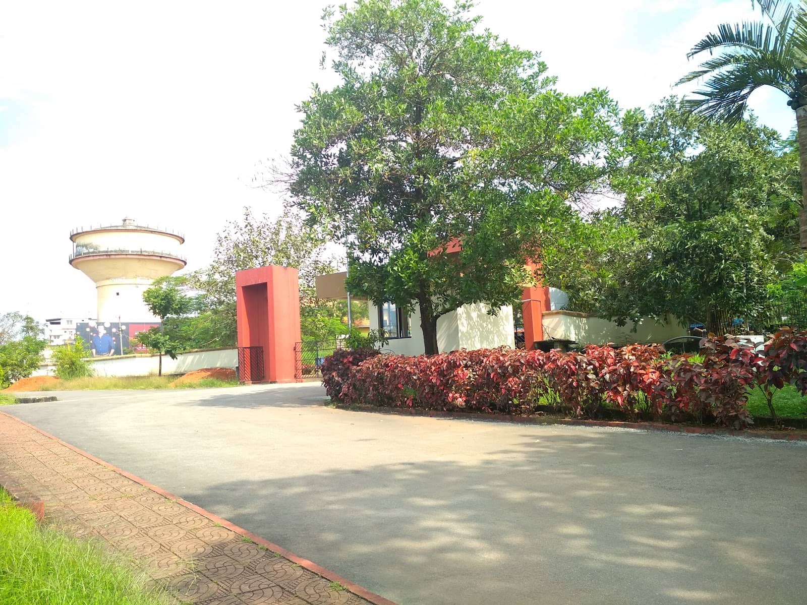 Vertical photo