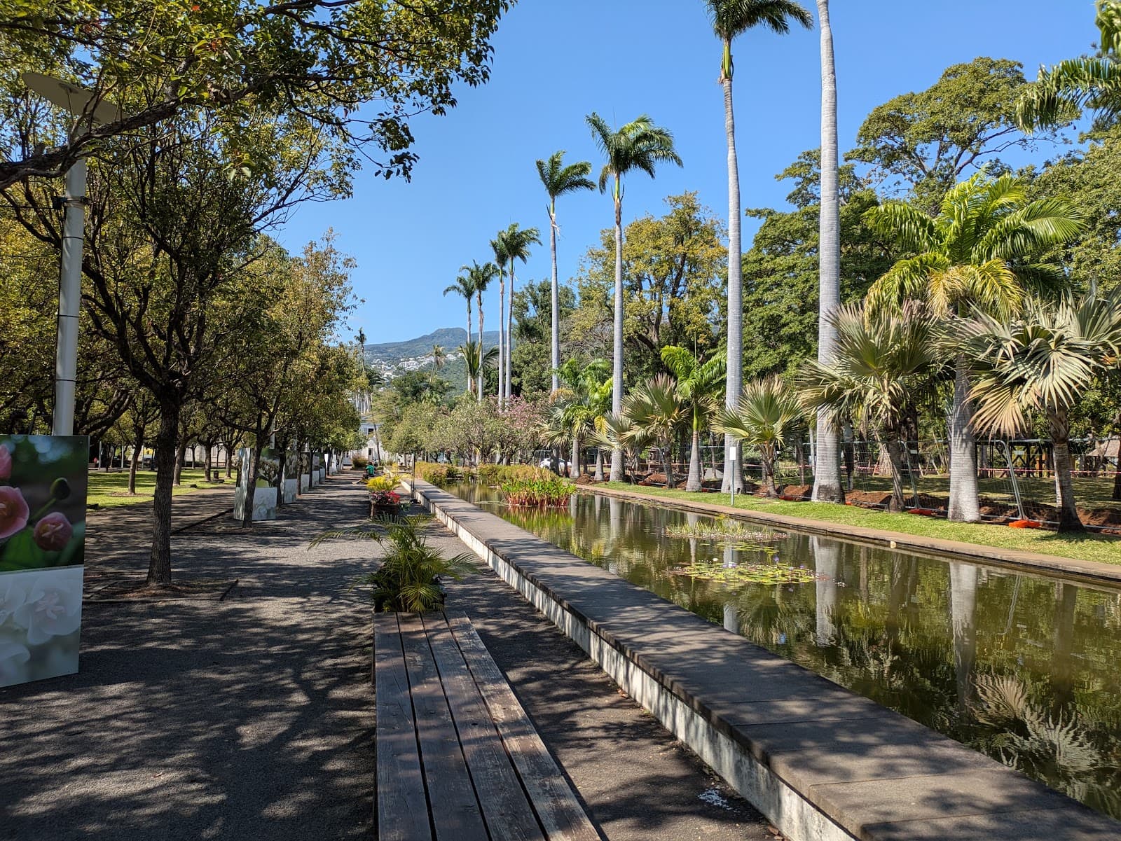 Jardin de l'État Saint-Denis Réunion - Image 1