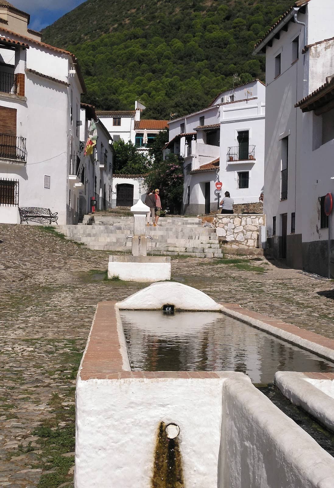 Authentic Andalusian Vibe