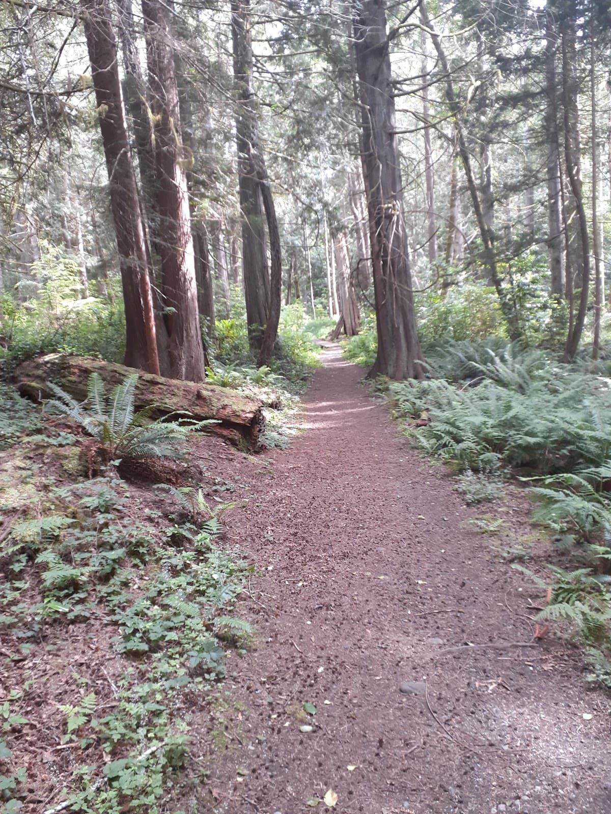 Millennium Park - Image 1